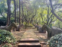 -临平公园(临平街道)