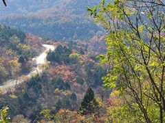 -北京西山国家森林公园