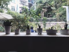 -彳亍咖啡·这里(水湾路店)