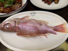 -吴记富苑(朝阳店)