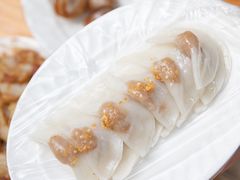 -汕尾菜粿(向西老店)