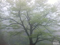 -大明山自然探索公园