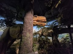 -浙江自然博物院(杭州馆)