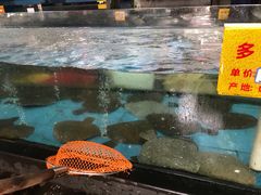 -马王堆海鲜水产市场