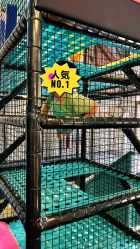 -动力星球家庭亲子游乐中心