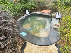 -溧阳天目湖天沐温泉