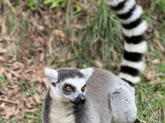 -乐和乐都主题乐园