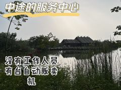 -大湾区中央湿地公园