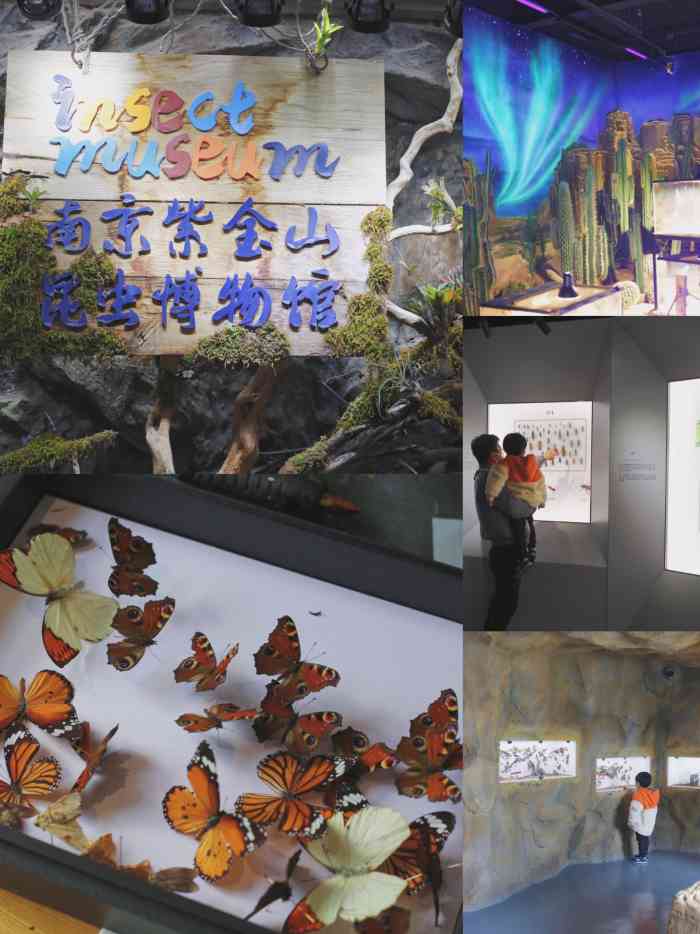 南京紫金山昆虫博物馆-"完全不知道海底世界旁边开了家昆虫博物馆,.