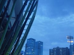 -深圳市宝安体育中心体育场