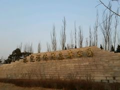 -永定河休闲森林公园