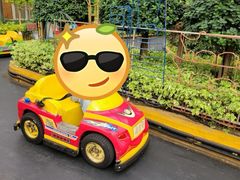 -南宫五洲植物乐园