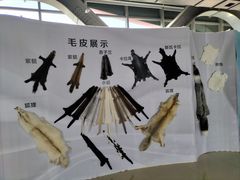 -肃宁华斯国际裘皮城