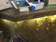 -悦致酒店(长沙黄兴路步行街南门口地铁站店)