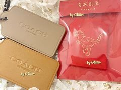 -COACH蔻驰(星光68广场店)