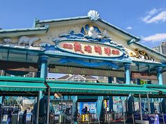 -海合安成都极地海洋公园