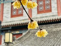 -西安化觉巷清真大寺