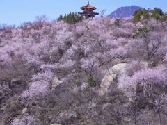 -白水寺森林公园
