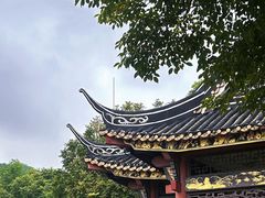 -顺峰山公园