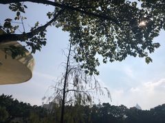 -人民公园(罗湖区)