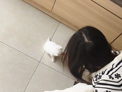 -宠福鑫康馨动物医院·骨科·眼科