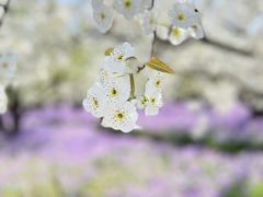 -江苏三台山国家森林公园