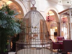 android_upload_pic-深圳东部华侨城茵特拉根酒店