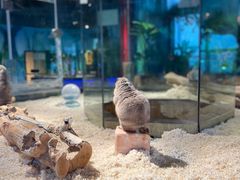 -昆明大悦城未来动物城(螺蛳湾中心店)