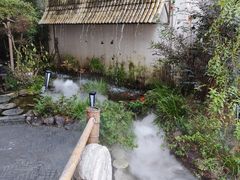 -萍豐小院·崇仁路鸭子煲