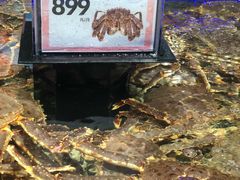 -盒马鲜生(岭南新世界店)