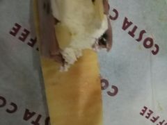 -COSTA COFFEE(吴江路店)