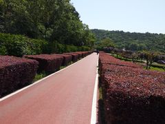 -龙寺生态园