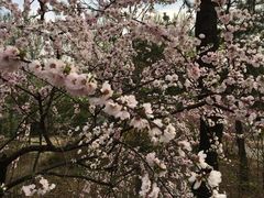 -回龙观体育文化公园