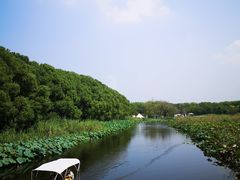 -同里国家湿地公园