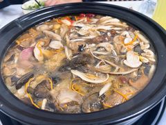 -野菌王•养生汤锅•野生菌火锅(大理漾濞路店)