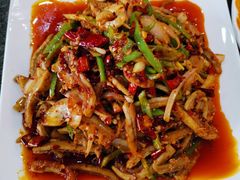 -清真沙记靖远牛犊肉羊羔肉(南昌路东湖店)