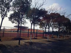 -上海海事大学(临港校区)