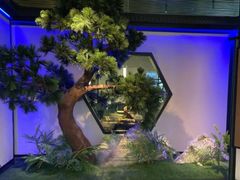 -绿茶餐厅(成都大悦城店)