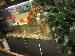 -悦百味·品质川菜(橄榄郡店)