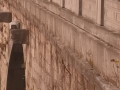 -七桥瓮公园