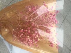 -Butchart布查德鲜花(花艺设计中心)
