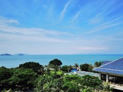 -采粤轩中餐厅(惠州金海湾喜来登度假酒店)