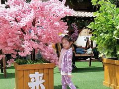 -郑州方特梦幻王国