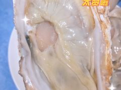 -千岛蚝高压锅生蚝·人参火锅(白云万达店)