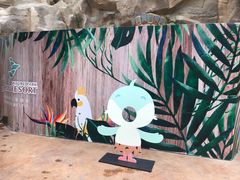 -杭州开元森泊度假乐园