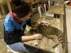 -小时光咖啡馆(开森度假森林店)
