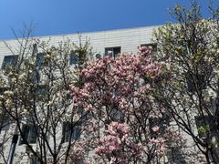 -中国医科大学附属盛京医院大连医院(总院)