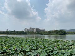 -江南大学(蠡湖校区)