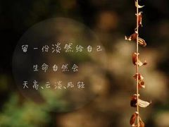 -京门活鱼馆·鱼火锅(百子湾（原红庙）店)
