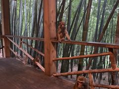 -重庆雨台山风景区